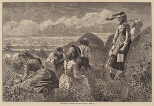 Meyve Toplama by Lagarde after Winslow Homer
