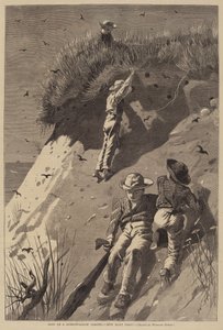 Kum Kırlangıç Kolonisine Baskın - "Kaç Yumurta?" by Lagarde after Winslow Homer
