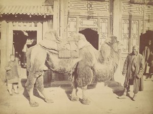 Pekin. ile ilgili. 923, 1867. by Lai Fong.