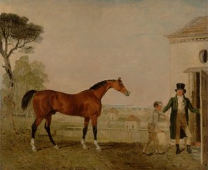 Burghley Marquess of Exeter Study
