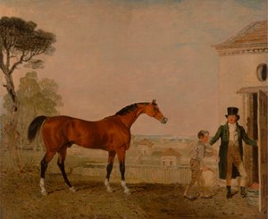 Marki Exeter's Stud, Burghley House'da 'Sultan'