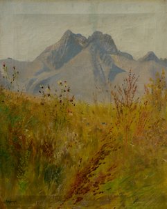 Lomnicky Zirvesi by Laszlo Mednyanszky