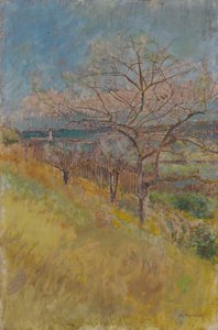 Ağaçların açıldığı vadi, 1890-1900 by Laszlo Mednyanszky