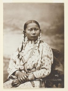 Benekli Geyik yavrusu, Cheyenne gelini