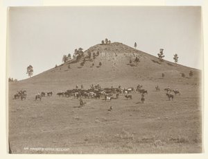 Tepelerde biraz çalışmak, c. 1900.