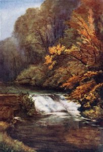 Autumn at Frenchay 