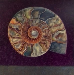 Ammonit, Macenta, 2021 by Lee Campbell