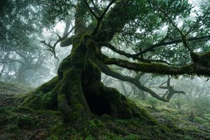 Unutulmuş Topraklar, 2025 (fotoğraf)