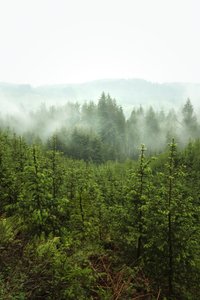 Bahar Derinlikleri, 2024 (fotoğraf)