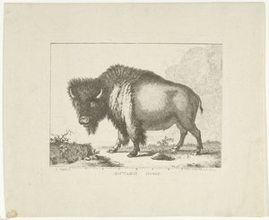 Bizon by Leendert Brasser