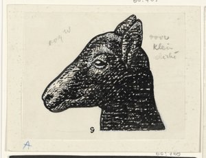 Kuzu başı by Leo Gestel (signed by artist)