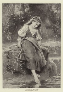 Doğanın Aynası