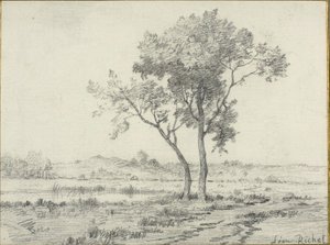 Manzara