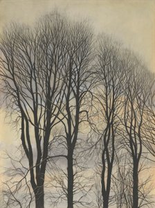 Gökyüzündeki ağaç by Leon Spilliaert