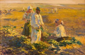 pancar kaldırma