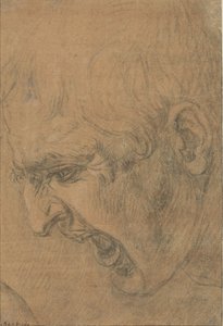 Çığlık atan bir adamın başı by Leonardo da Vinci (follower of)