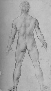 Arkadan Görülen Çıplak Adam, c1480 1945