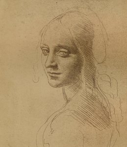 Bir dişi kafa, c1472-c1519 1883, by Leonardo da Vinci