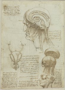 Anatomik çizimler ve notlar içeren bir el yazması sayfası, 1506-1508. by Leonardo da Vinci