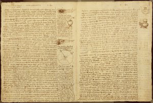 Codex Leicester