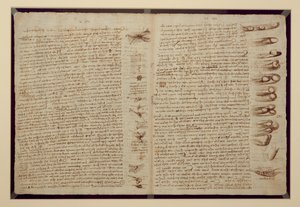 Codex Leicester