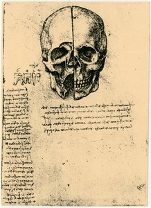 Bir insan kafatasının anatomik çizimi, c1472-1519 by Leonardo da Vinci