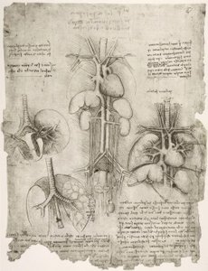 anatomi eğitimi by Leonardo da Vinci
