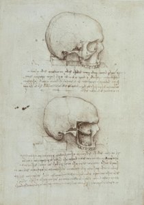 anatomi eğitimi by Leonardo da Vinci