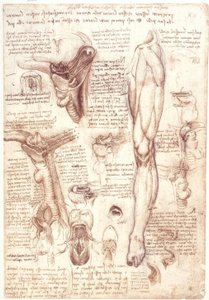 Anatomi çalışmaları: dil, boğaz, gırtlak ve yemek borusu by Leonardo da Vinci