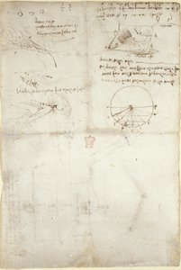 Arundel 263, f.126v Su üzerine üç not ve eskiz; kuşların uçuşuyla ilgili bir diyagram, c.1500-5 (kağıt üzerinde kalem ve mürekkep) by Leonardo da Vinci