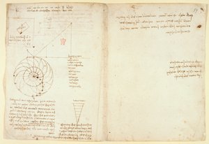 Arundel 263 f.44v, f.59 Profilde bir yüzün bir gözü ve bir burnu taslağı; 