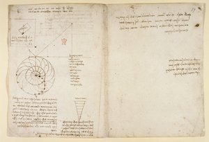 Arundel 263, f.44v, f.59 Profilde bir yüzün bir göz ve bir burnu taslağı; 