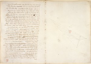 Arundel 263, f.57v, f.46 