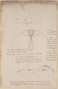 Arundel 263, f.85 Yansıma kostiği ile ilgili optik diyagramlar; vurmalı çalgının gücüyle ilgili ve Aristotelesçi ilke 