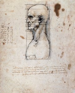 Ölçüleri ve notları olan profilde bir adamın büstü (keten kağıt üzerine sepya mürekkebi) by Leonardo da Vinci