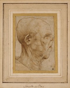 Sağdaki profilde yaşlı bir adamın kafasının karikatürü, c.1507 by Leonardo da Vinci