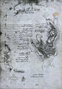 Yarısı Kesilmiş Erkek ve Kadının Çiftleşmesi, faks kopyası by Leonardo da Vinci