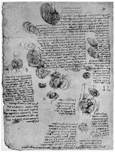 Kalpteki kan girdabı diyagramı, 15. yüzyılın sonları veya 16. yüzyılın başlarında 1954 by Leonardo da Vinci