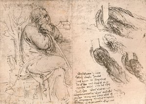 Bukleler halinde düşen saçın temsilini gösteren çizim, c1472-c1519 1883 by Leonardo da Vinci
