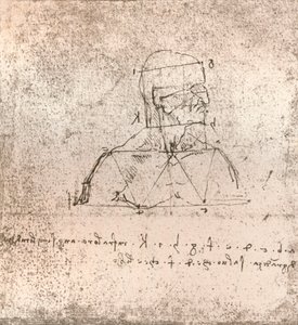 İnsan figürünün oranları teorisini gösteren çizim, c1472-c1519 1883 by Leonardo da Vinci