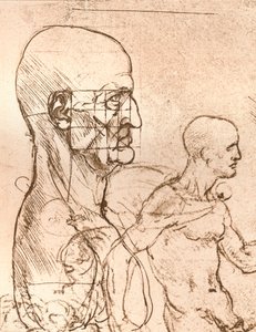 İnsan figürünün oranları teorisini gösteren çizim, c1472-c1519 1883 by Leonardo da Vinci