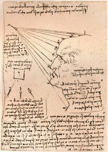 Resim pratiğini gösteren bir erkek kafa çizimi, c1472-c1519 1883 by Leonardo da Vinci