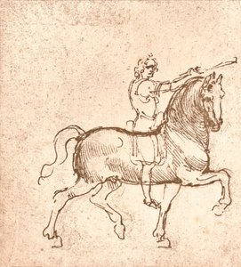 Yürüyen bir at çizimi, c1472-c1519 1883 by Leonardo da Vinci