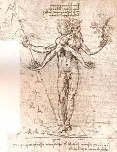 Alegorik bir kompozisyon çizimi, c1472-c1519 1883 by Leonardo da Vinci