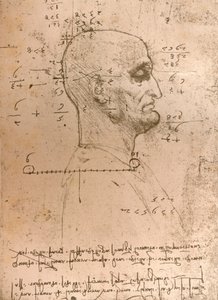 Bir suçlunun kafasının çizimi, c1472-c1519 1883 by Leonardo da Vinci
