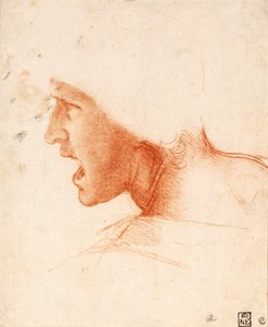 by Leonardo da Vinci
