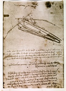  by Leonardo da Vinci