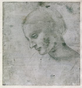 Genç Kadının Başı veya Bakirenin Başı, c.1490 (kağıt üzerinde gümüş uçlu) by Leonardo da Vinci