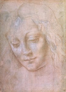Bir kadının başı (guaj ile yükseltilmiş metal uç) by Leonardo da Vinci