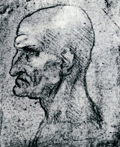 Yaşlı Bir Adamın Başı, 1913 by Leonardo da Vinci